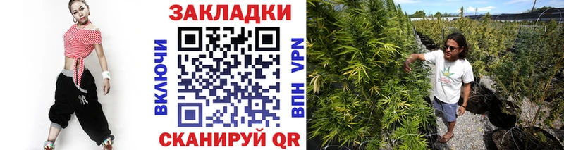 Какие есть наркотики Александровское Гашиш  Каннабис  COCAIN  Меф 