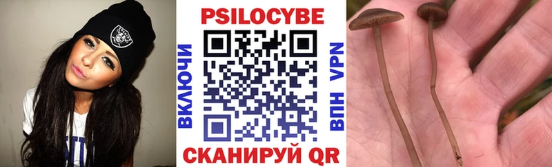 Галлюциногенные грибы Psilocybe  Александровское 