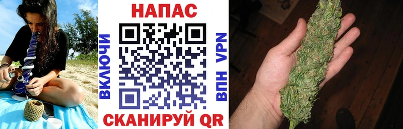 Канабис гибрид  Александровское 